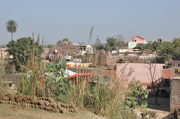 101224-3513s