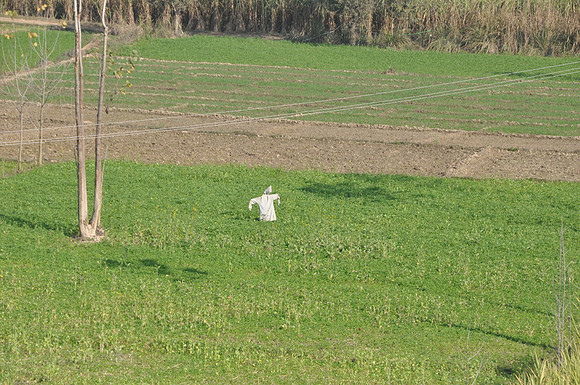 101224-3504s